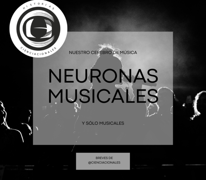 Neuronas musicales y sólo musicales